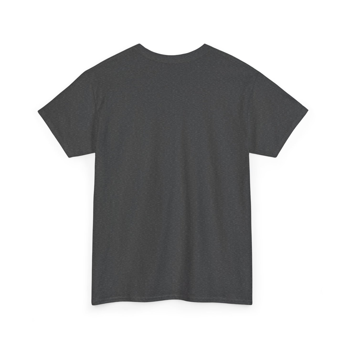 Sun, Salt, Sand Unisex Heavy Cotton Tee | Beach Vibes