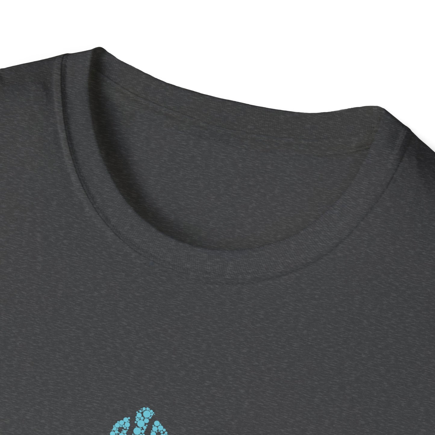 Spiral Turtle Unisex Softstyle T-Shirt