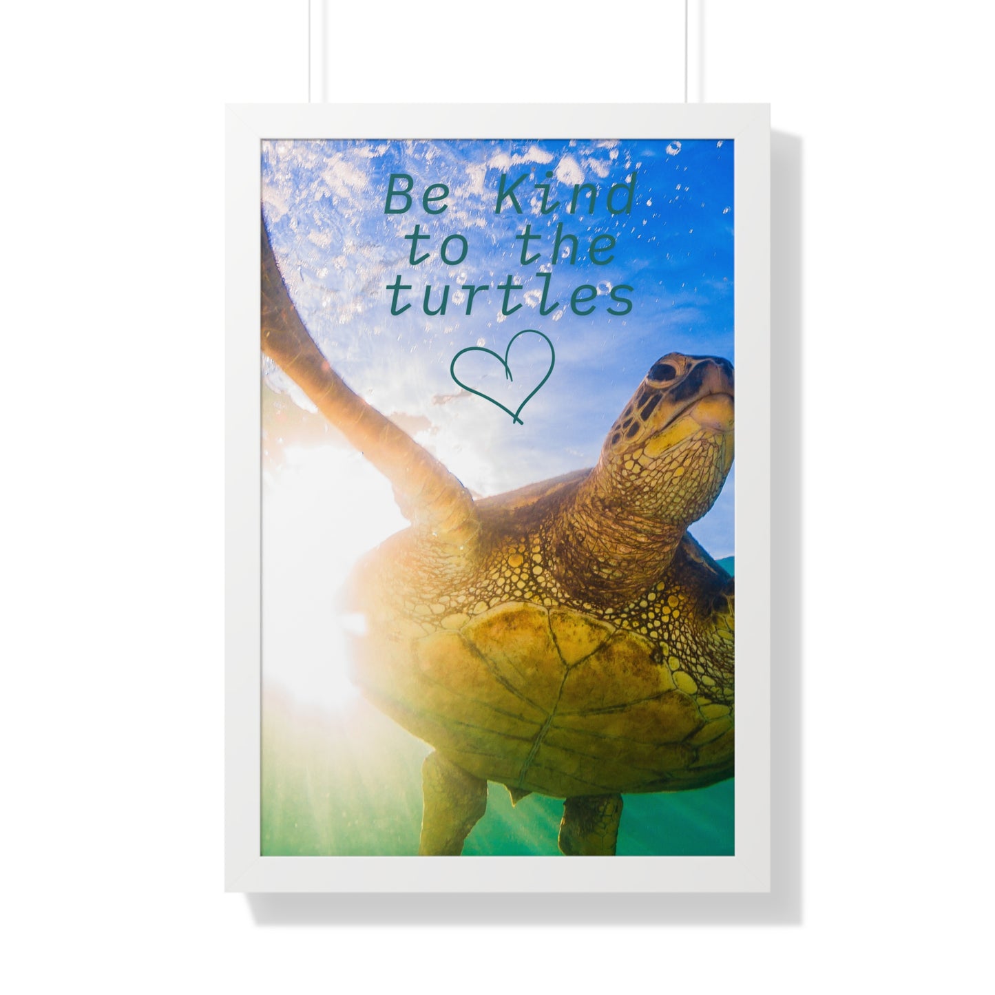 Be Kind to Turtles Framed Wall Art 20 X 30