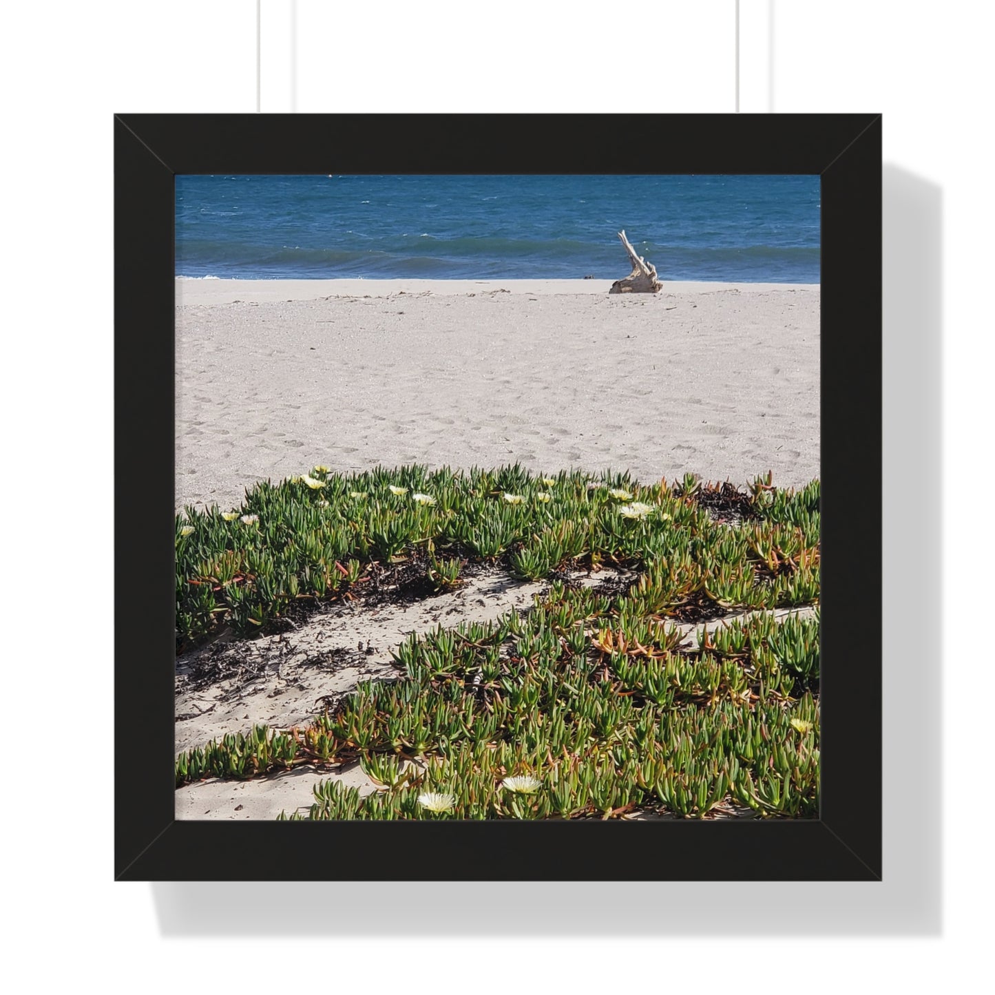 Beach Dune East Beach Santa Barbara CA Framed Poster