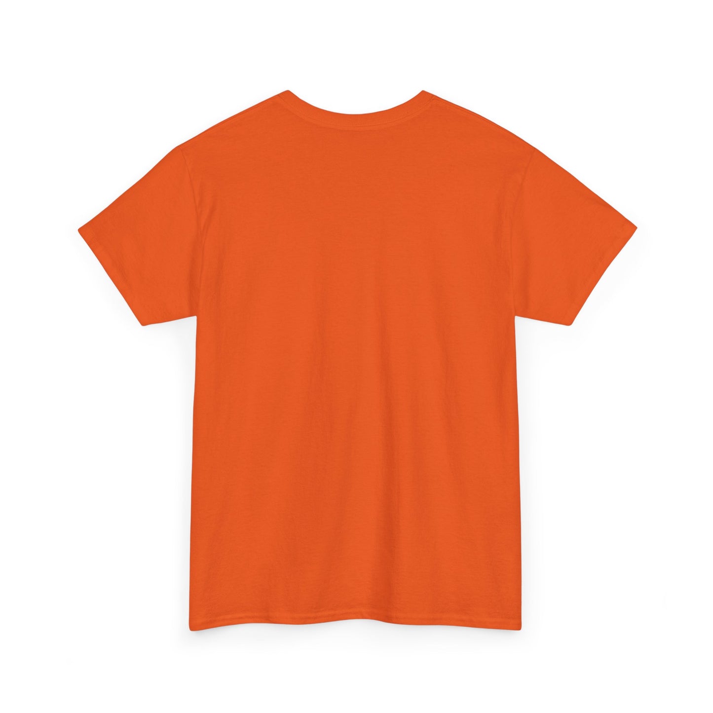 Sun, Salt, Sand Unisex Heavy Cotton Tee | Beach Vibes