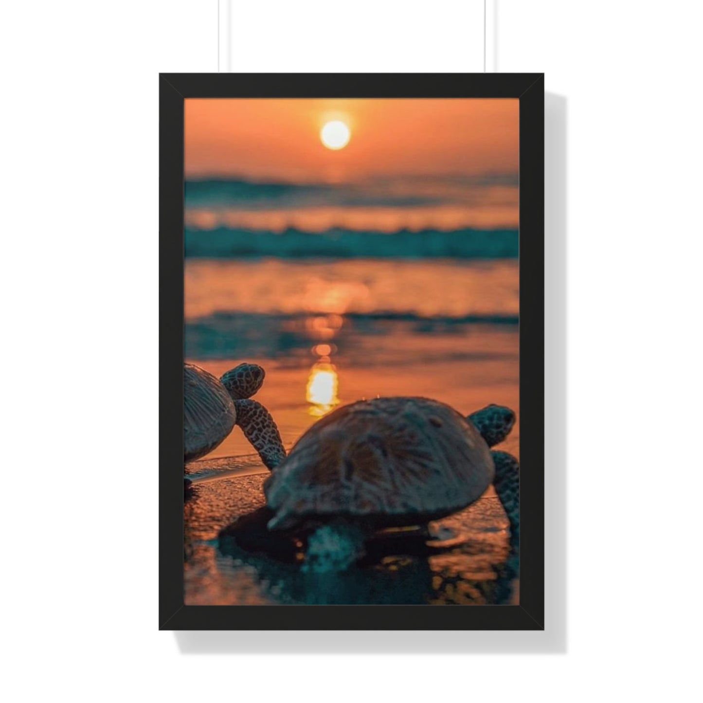 Sea Turtle Sunset Framed Poster