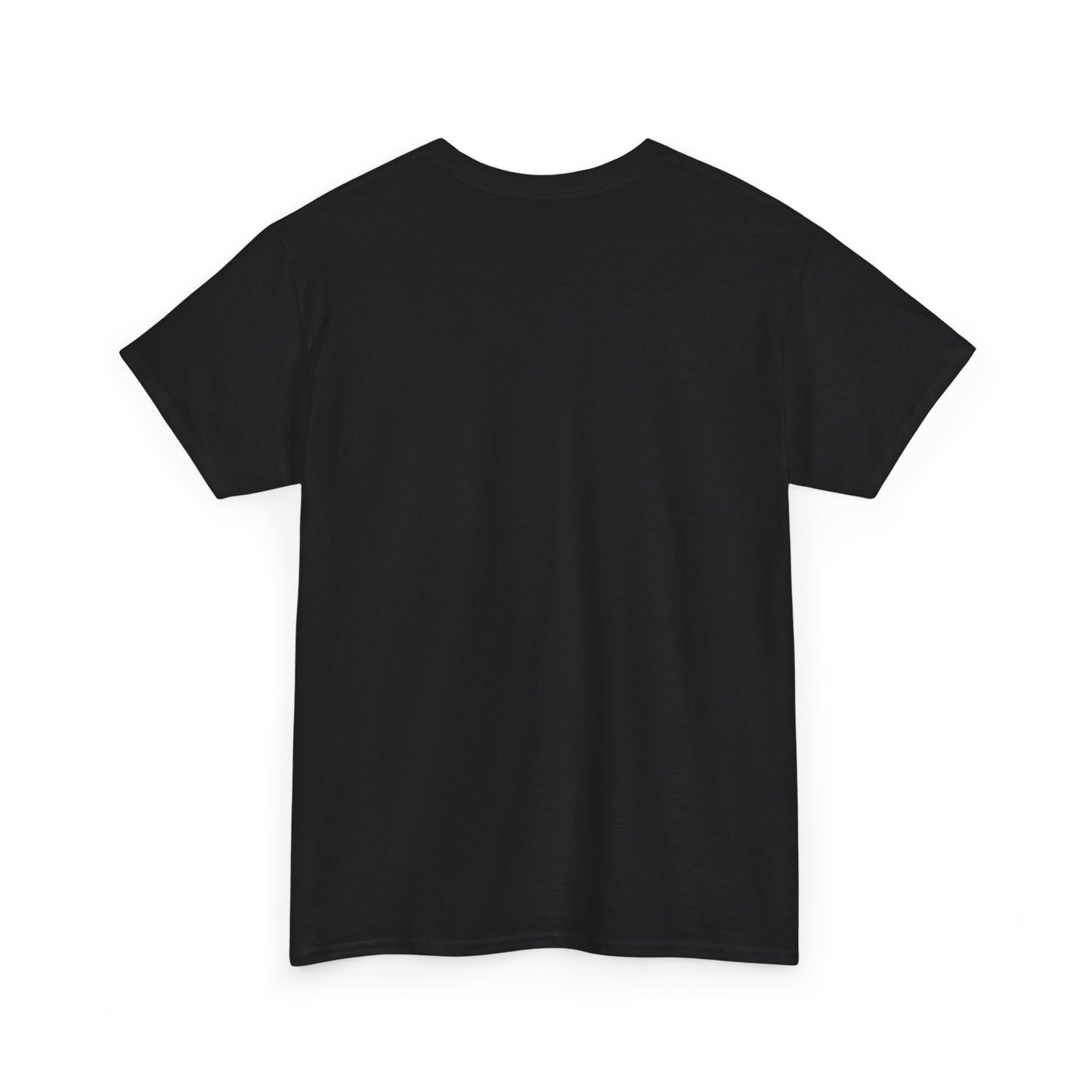 Sun, Salt, Sand Unisex Heavy Cotton Tee | Beach Vibes