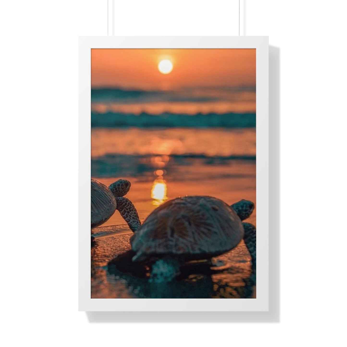 Sea Turtle Sunset Framed Poster