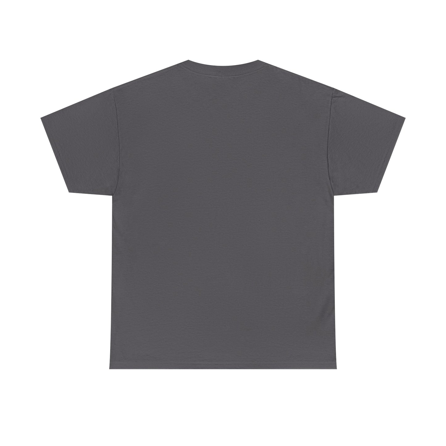 Sun, Salt, Sand Unisex Heavy Cotton Tee | Beach Vibes