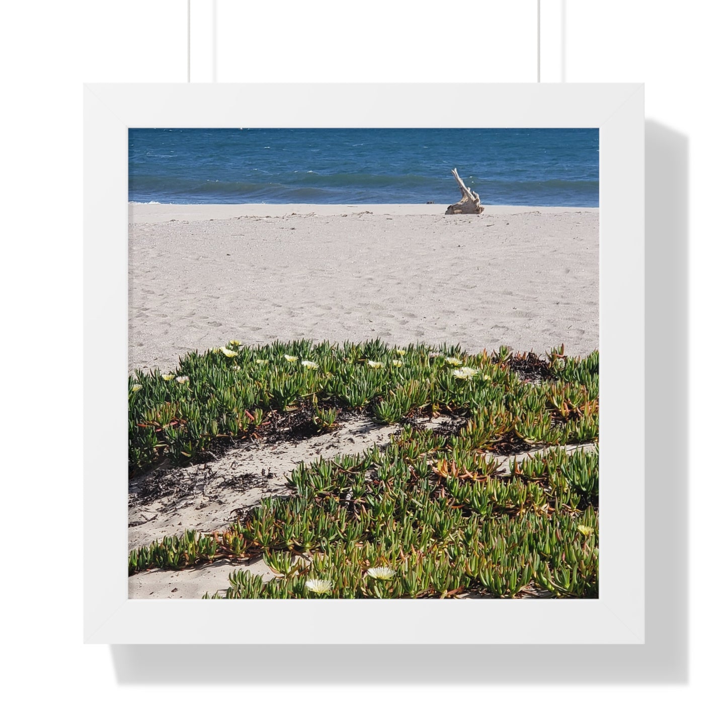 Beach Dune East Beach Santa Barbara CA Framed Poster