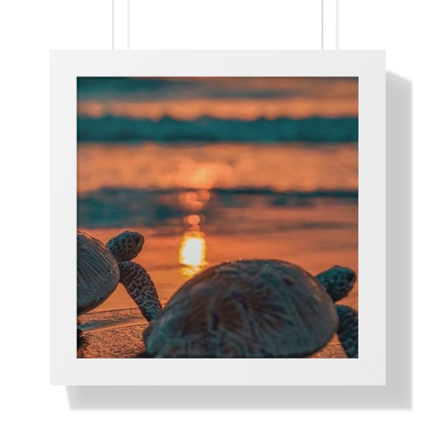 Sea Turtle Sunset Framed Poster
