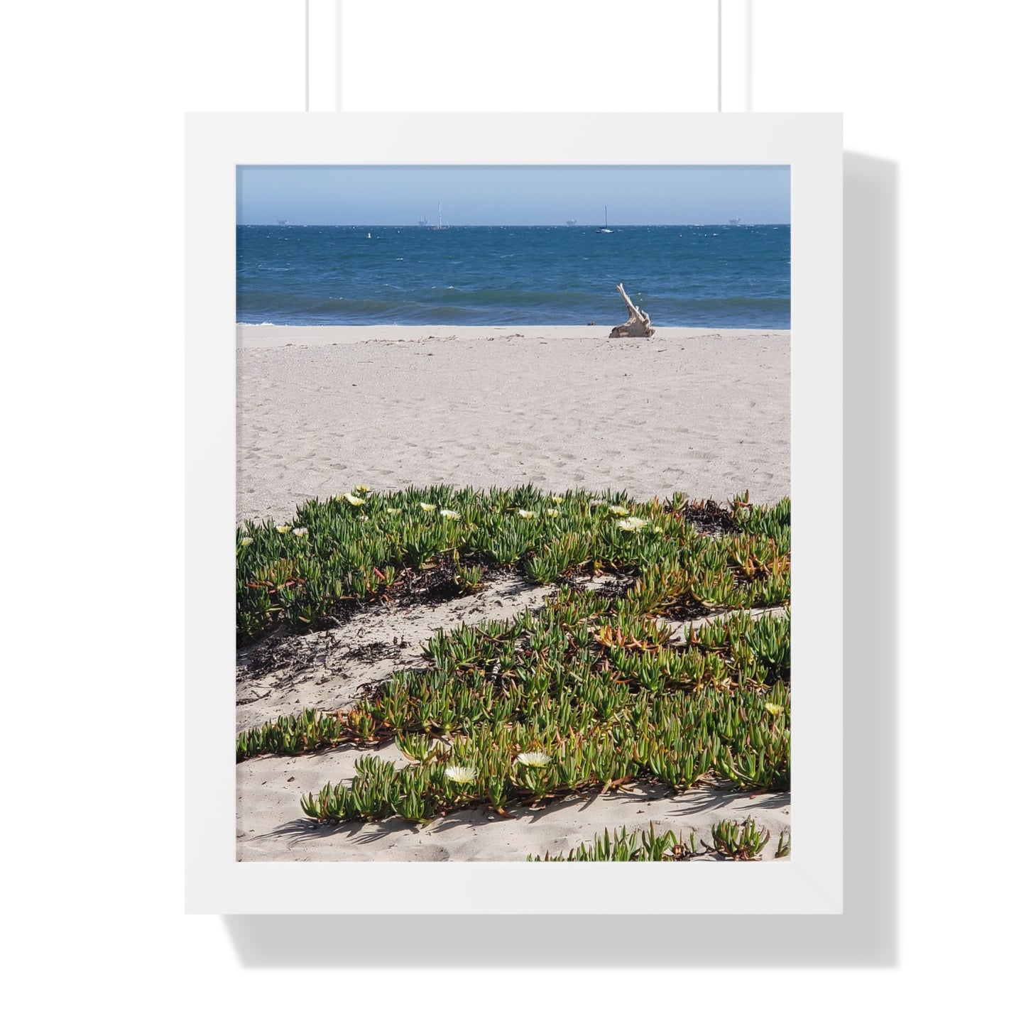 Beach Dune East Beach Santa Barbara CA Framed Poster