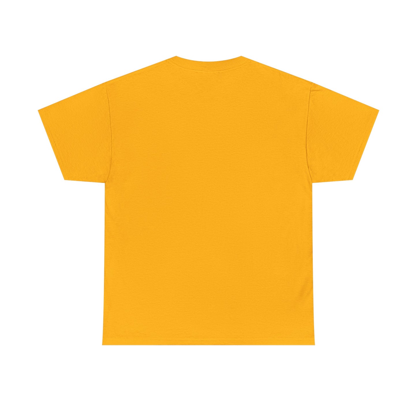 Sun, Salt, Sand Unisex Heavy Cotton Tee | Beach Vibes