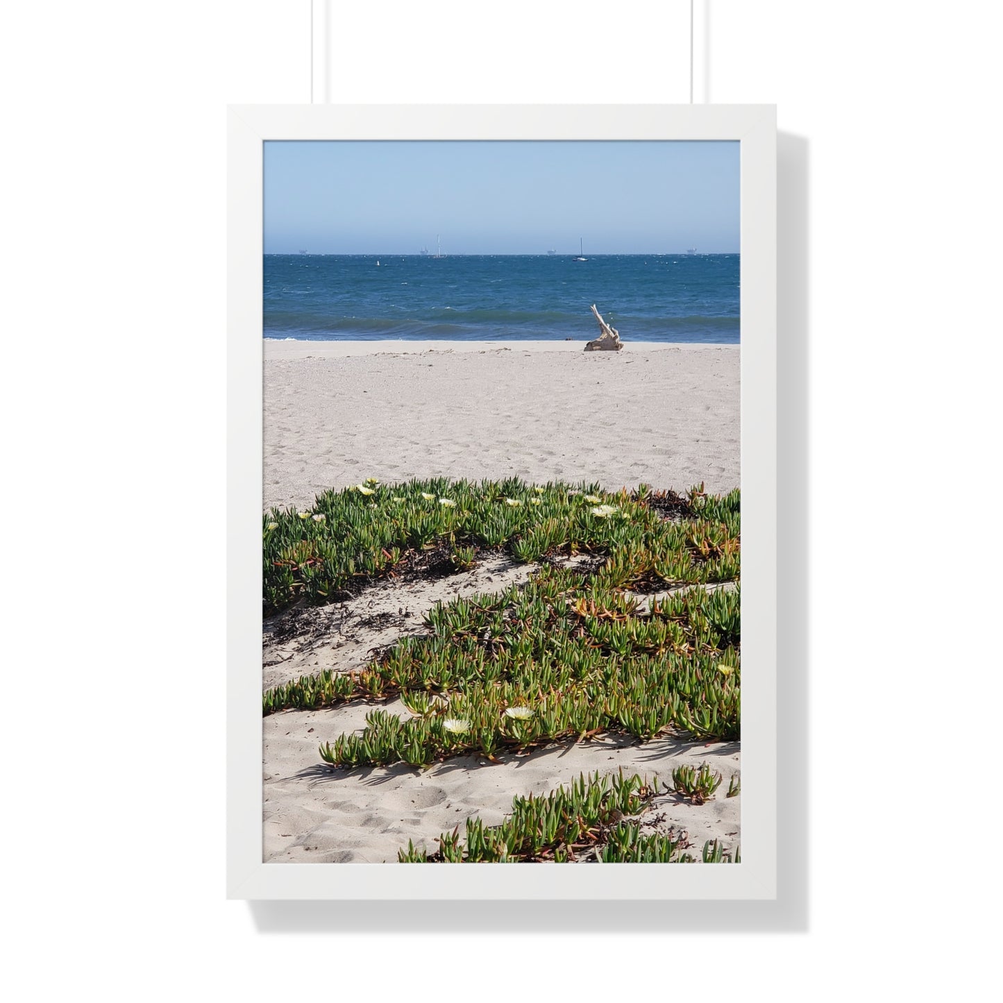 Beach Dune East Beach Santa Barbara CA Framed Poster