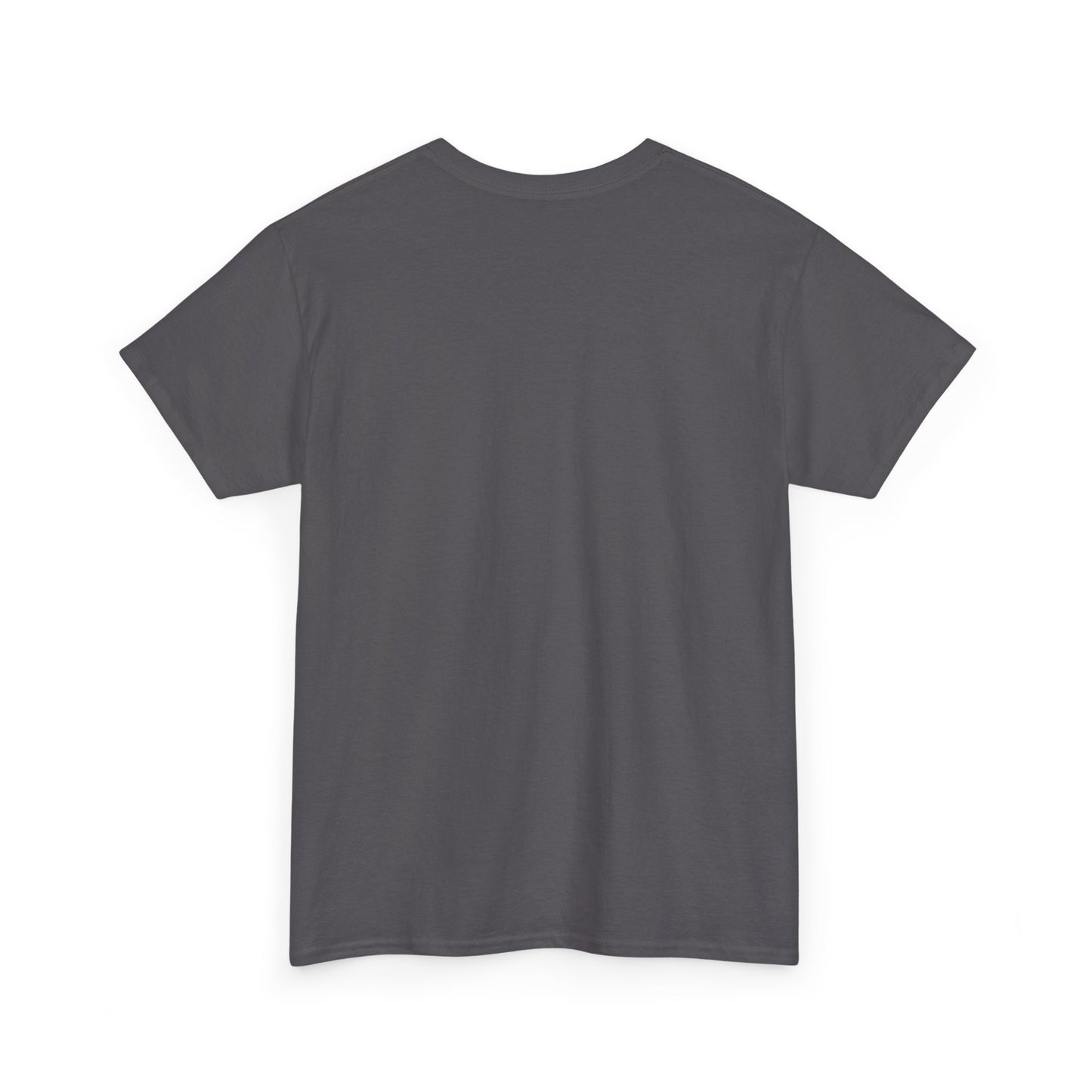 Sun, Salt, Sand Unisex Heavy Cotton Tee | Beach Vibes