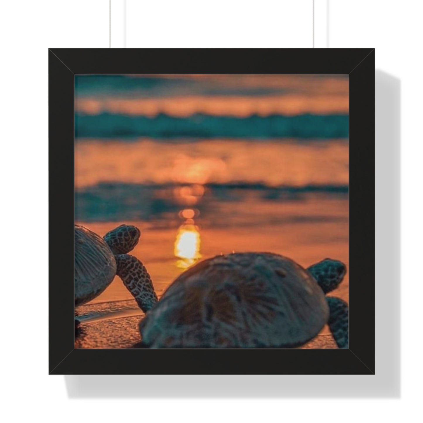 Sea Turtle Sunset Framed Poster