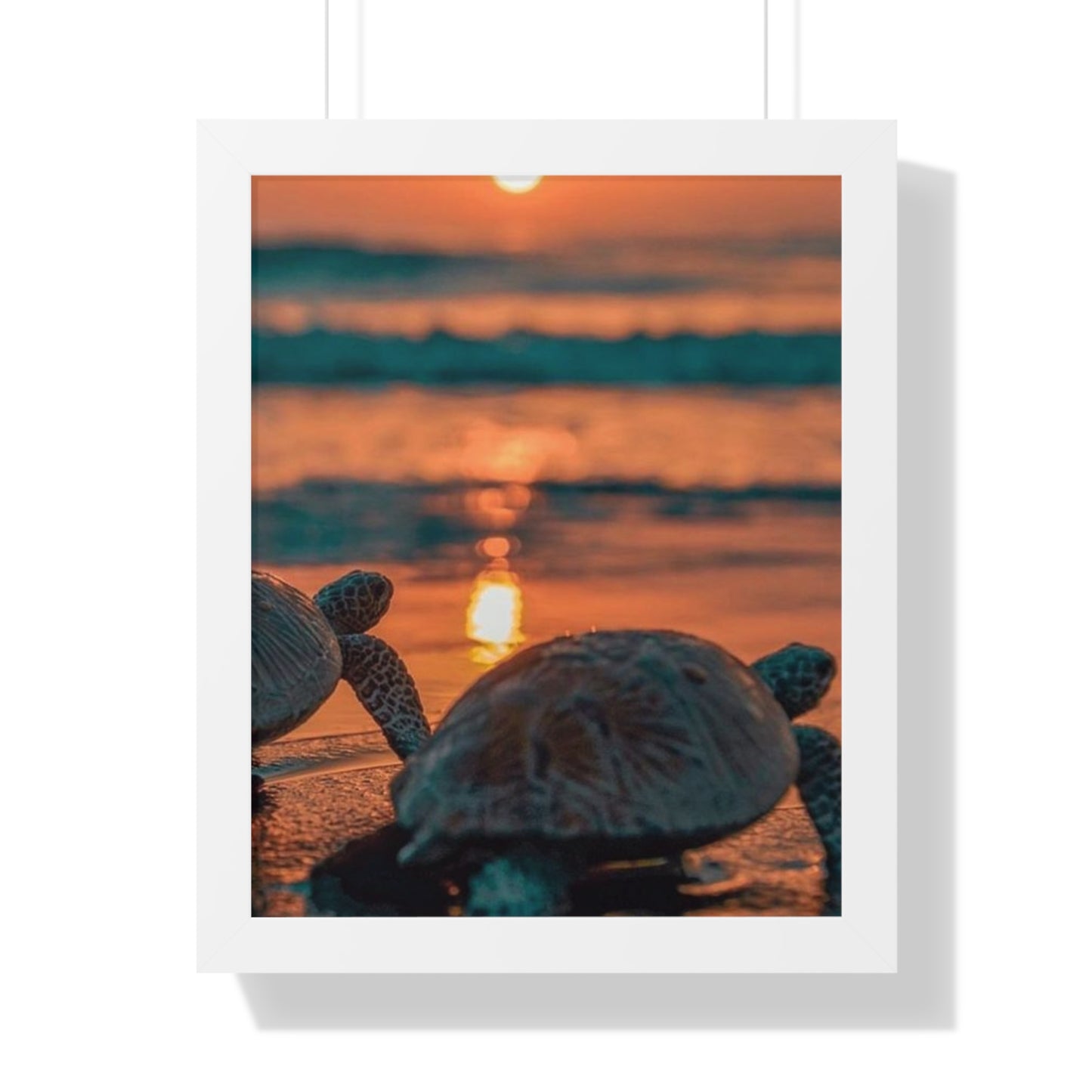 Sea Turtle Sunset Framed Poster