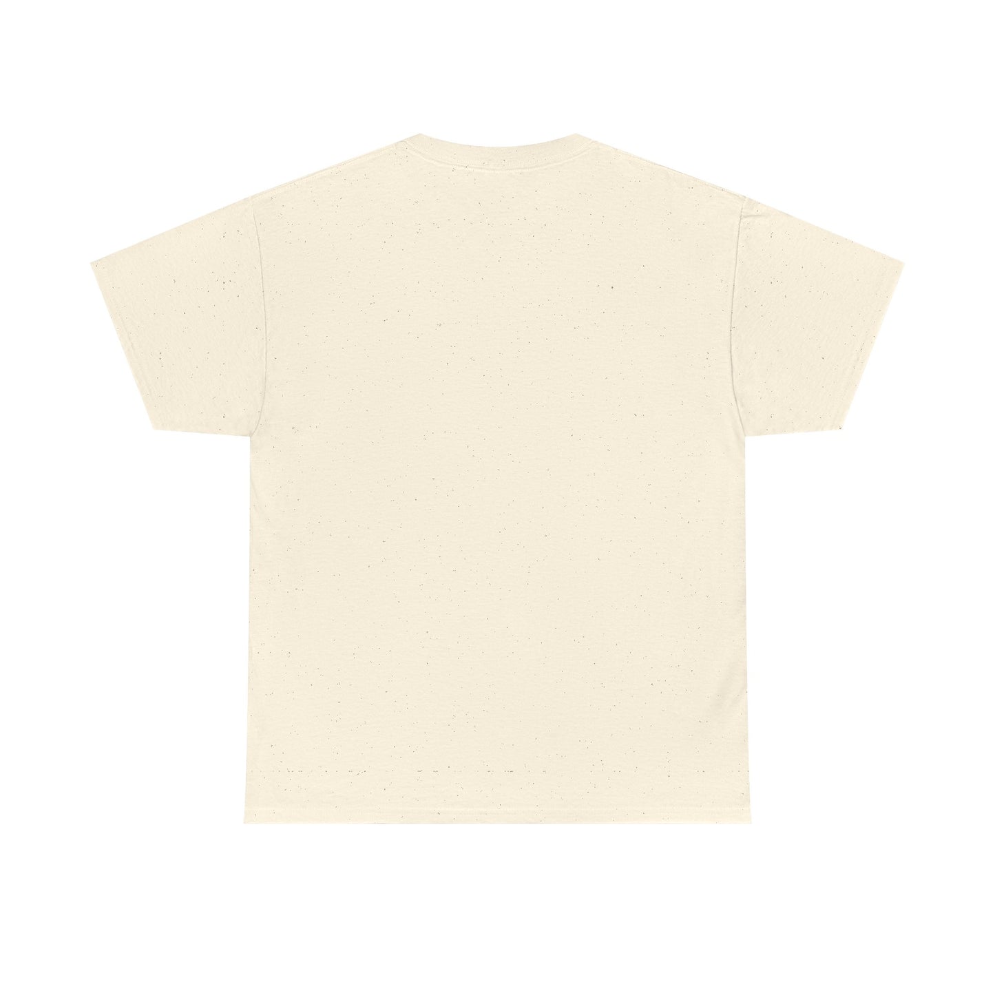Sun, Salt, Sand Unisex Heavy Cotton Tee | Beach Vibes