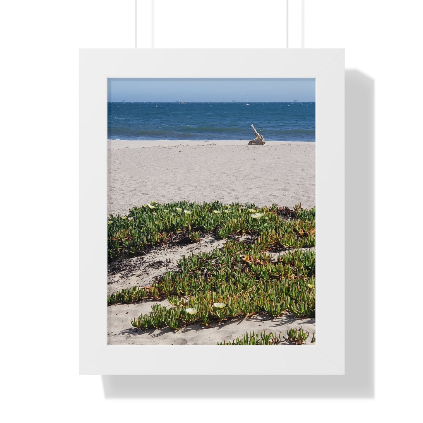 Beach Dune East Beach Santa Barbara CA Framed Poster