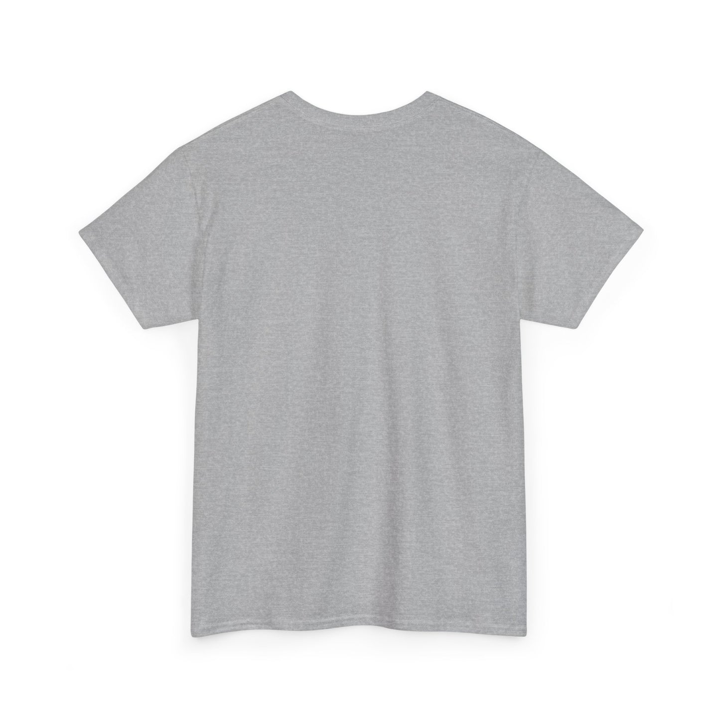 Sun, Salt, Sand Unisex Heavy Cotton Tee | Beach Vibes