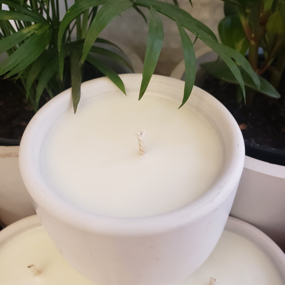 White Tea Concrete Candle