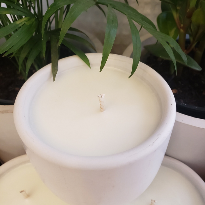 White Tea Concrete Candle Kimberly Raymond Studios