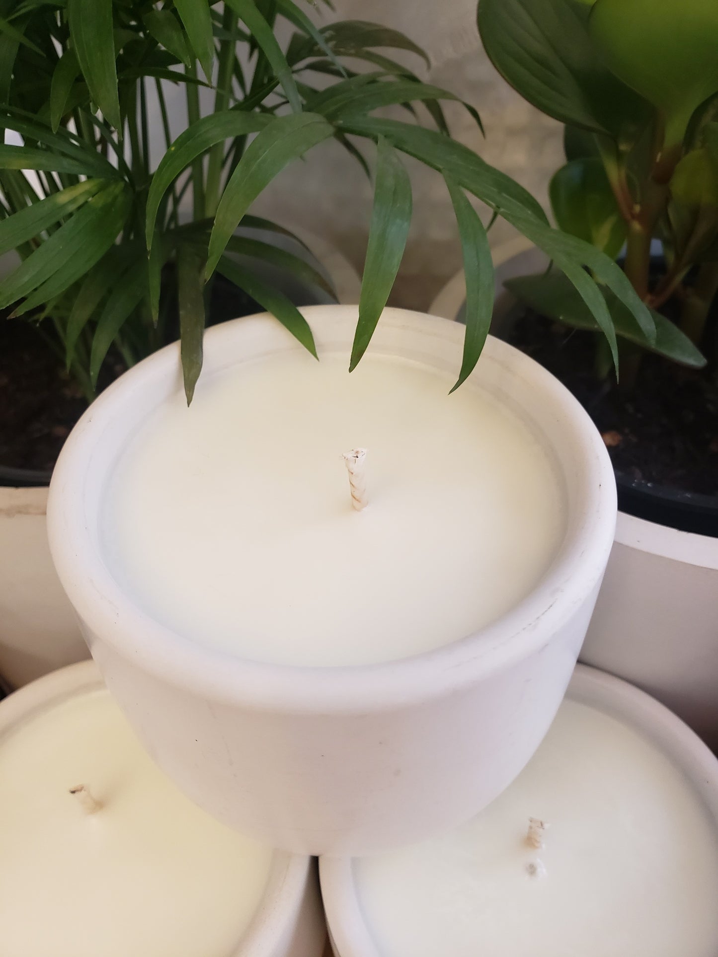 Pacific Riviera Concrete Candle